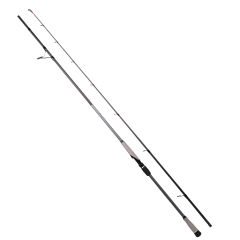 RYUJI MATRIX FUJI 2.80M 25-80 GR 2P SHORE JIG KAMIŞ