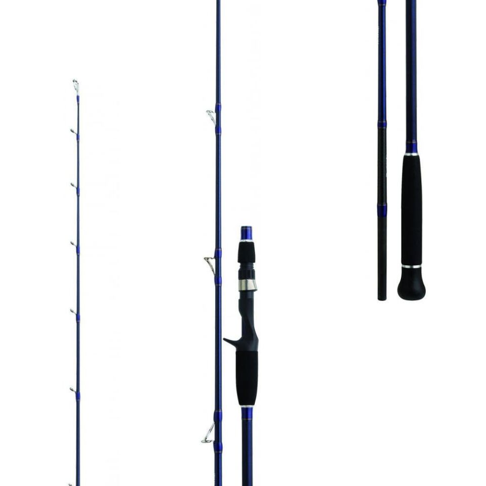 Daiwa Exceler Oceano 198cm MAX250 Olta Kamışı