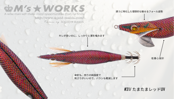 SQUID MANIA WILD CHASE 3.0 COLOR:31  KALAMAR ZOKASI