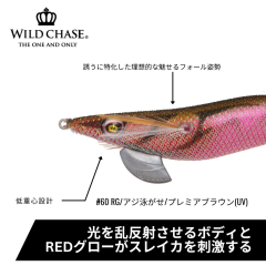 SQUID MANIA WILD CHASE 3.0 COLOR: 60 KALAMAR ZOKASI
