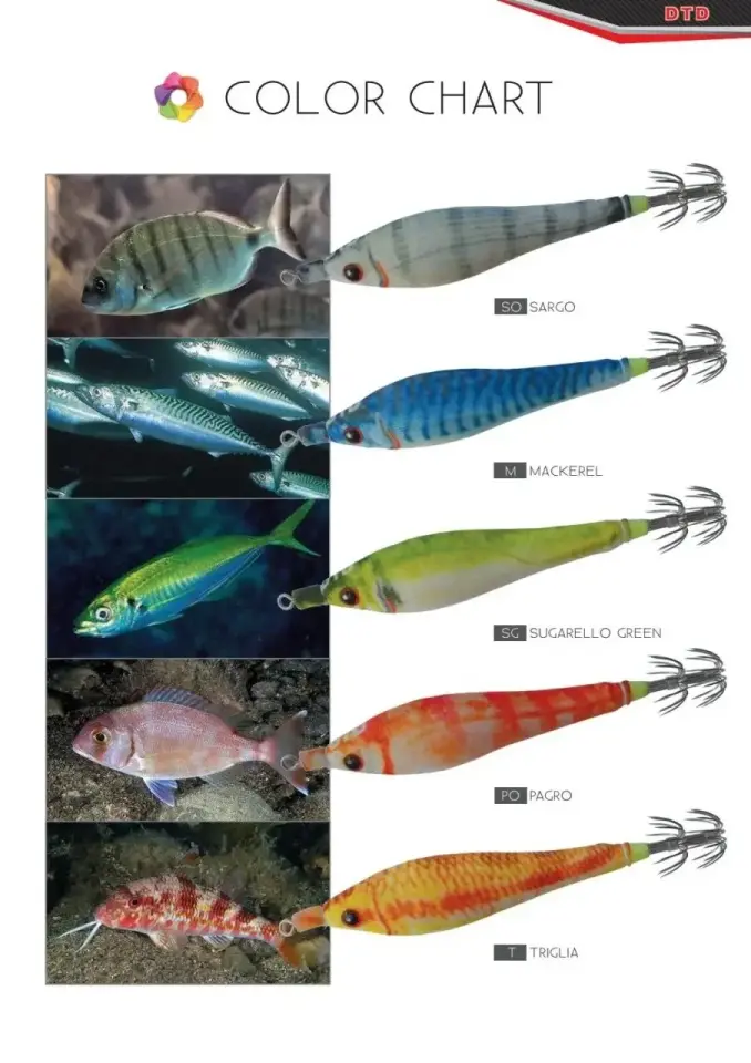 DTD SOFT REAL FISH 1.5 KALAMAR ZOKASI pagro