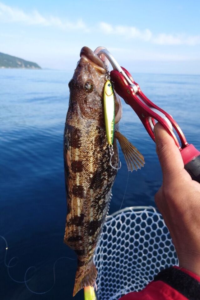 DAIWA SALTIGA TUNGSTEN JIG 80 GR