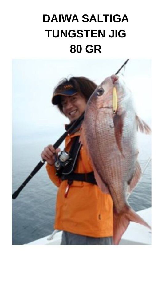 DAIWA SALTIGA TUNGSTEN JIG 80 GR