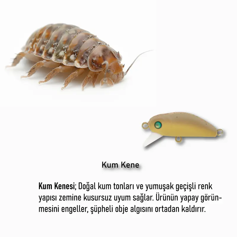 Hanfish Bıdık 3.5 Cm 3.1 Gr Maket Yem X-130 Kum Kene