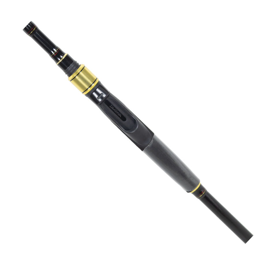 DAIWA RS 2,74M, 14-56GR, 2P KAMIŞ