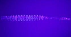 DAIWA GEKKABIJIN AJING BEAM 2 (10 AD) Dot Uv Red (0742 6041)