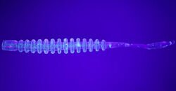 DAIWA GEKKABIJIN AJING BEAM 2 (10 AD) Mix Dot UV (0742 3043)