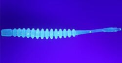 DAIWA GEKKABIJIN AJING BEAM 2 (10 AD) Glow Dot UV Green (0742 3042)