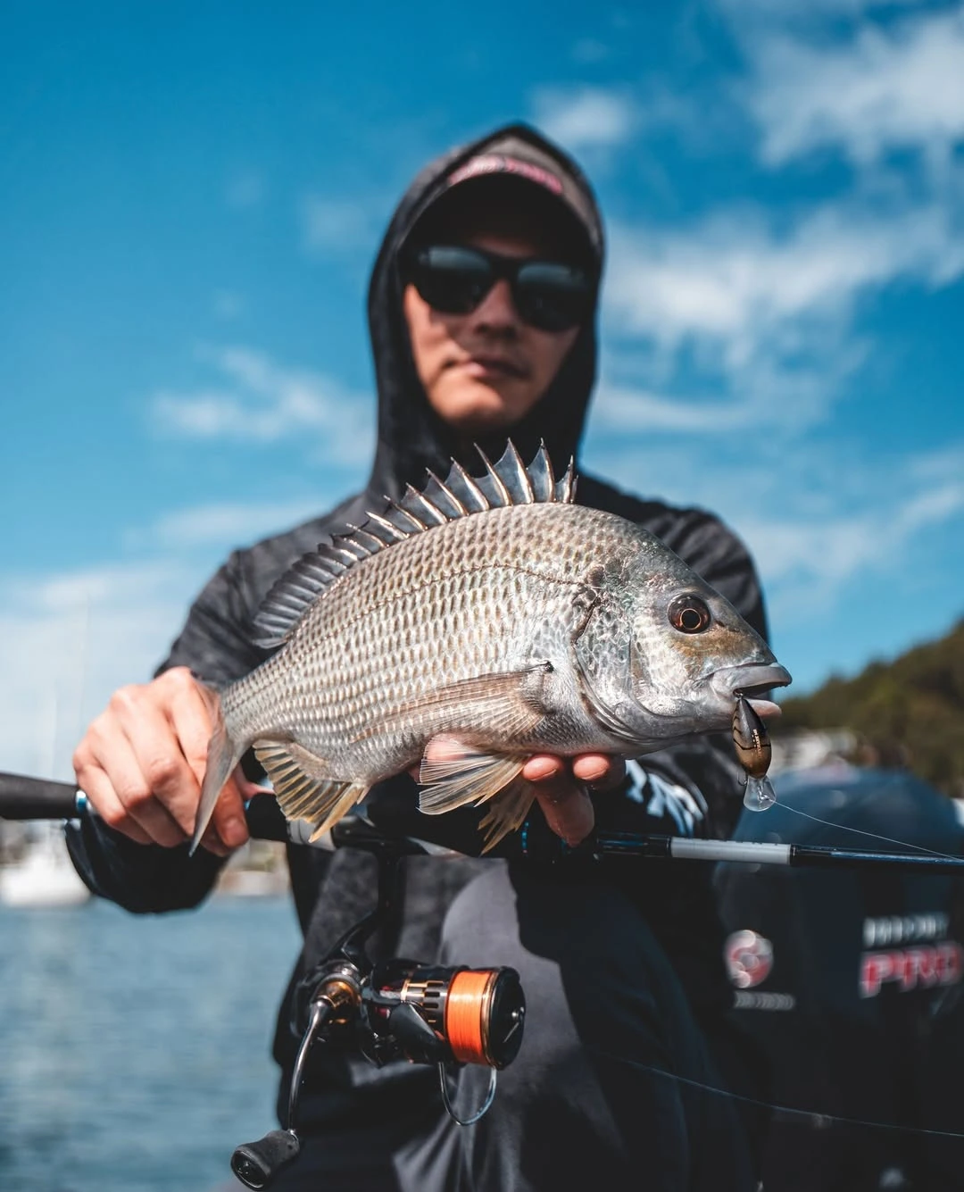 Daiwa
